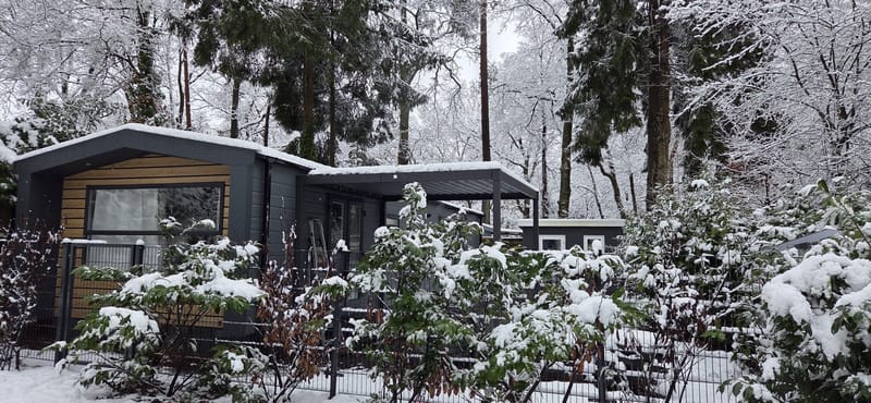 Escape Veluwe in de sneeuw